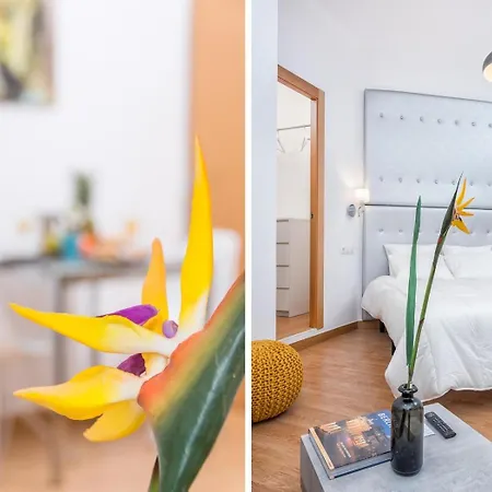 Magnifico Estudio En Bolsa 6. Ac. Apartment