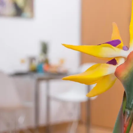 Apartment Magnifico Estudio En Bolsa 6. Ac. *